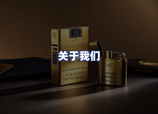 专业团队